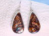 Verdant Vista -Red-Blue Australian Boulder Opal Solid Earrings (Silver 925)