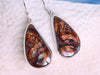 Verdant Vista -Red-Blue Australian Boulder Opal Solid Earrings (Silver 925)
